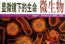 细菌的微观世界（揭秘细菌的形态、结构与运动方式）