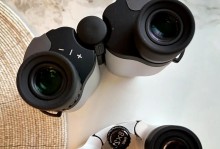 Safari大师级使用指南（以手把手教你更好的掌握Safari浏览器的使用技巧）