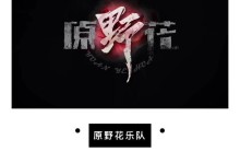 以壹伍手机质量怎么样？（全面评估壹伍手机的性能、外观和用户体验。）