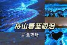 ZukZ2音质体验（探究ZukZ2的音质特点与优势）