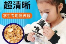 显微镜下的细菌世界（揭示微生物奇妙之旅）