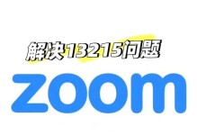 Zoom电脑版常见错误代码及解决方法（探索Zoom电脑版常见错误代码的原因和解决方案）