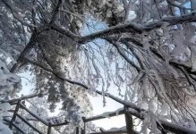 探秘冰雪王国的照相之美（在冰雪王国中拍摄独特景色的技巧与心得）