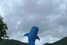 鲸鱼9500鼠标（全面升级的性能和舒适度让你无法抗拒）