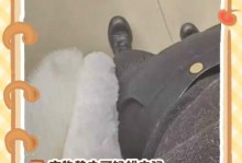 手机遭遇静电（手机静电事件分析及防范措施）