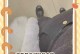 手机遭遇静电（手机静电事件分析及防范措施）