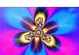 海信55EC520究竟如何？（全面评析海信55EC520电视的性能与体验）