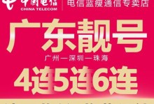 电信靓号停机后的影响及解决方法（探讨电信靓号停机的原因和解决方案）