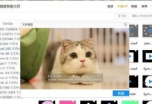 如何恢复被删除的U盘资料（有效的方法帮助您找回丢失的数据）