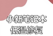 小新电脑显示错误要重启的解决办法（如何解决小新电脑显示错误并重启）